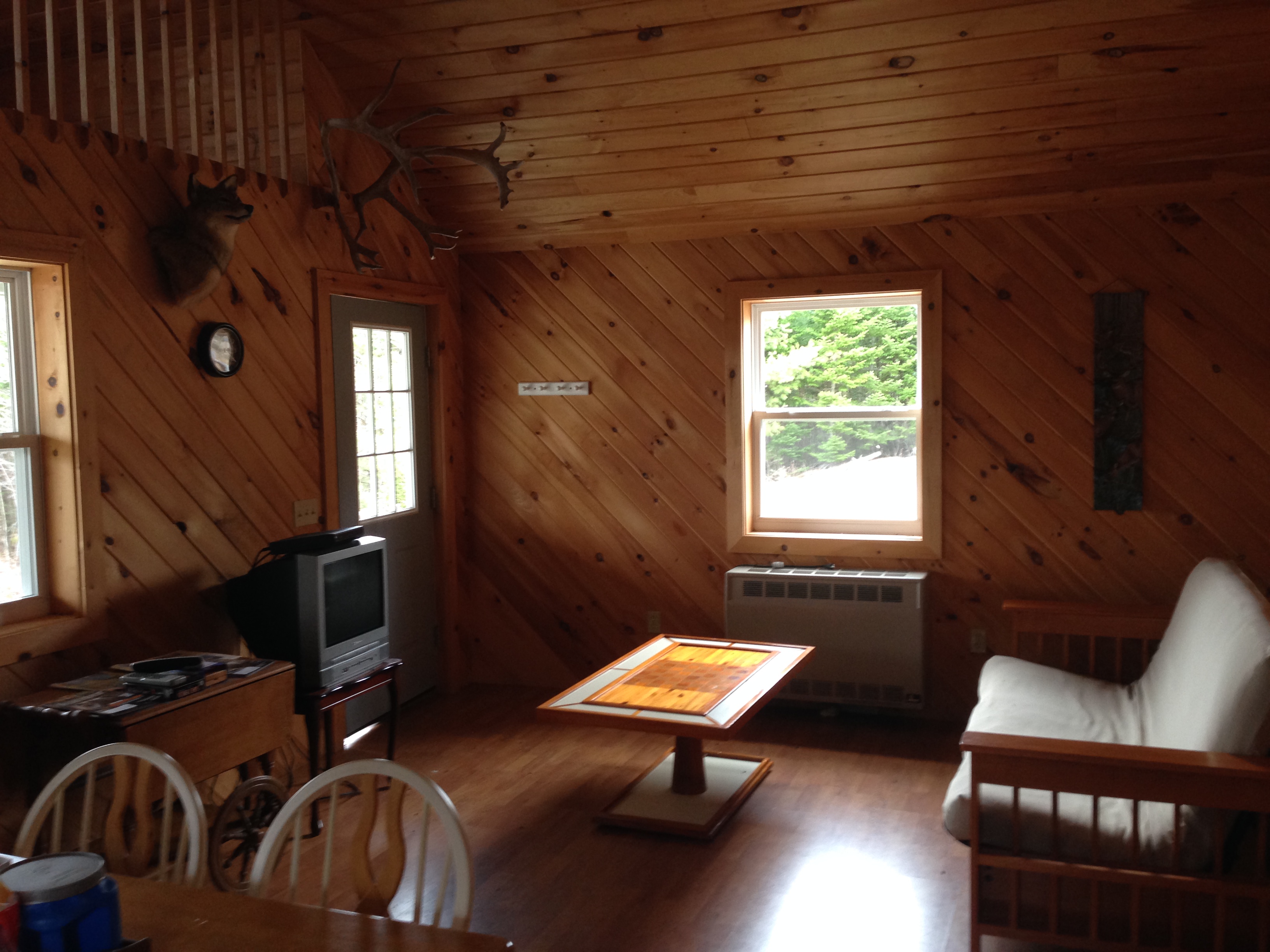 Wood-paneled lodge living room